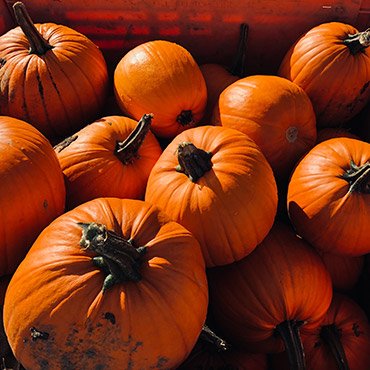 Custom Mesh & Grades